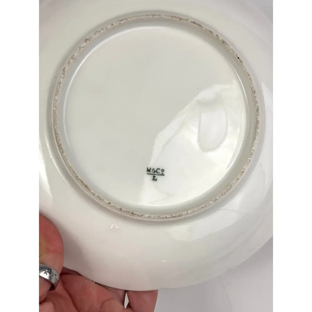 H & C Haviland antique haviland